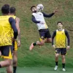 TREINO28.10-15