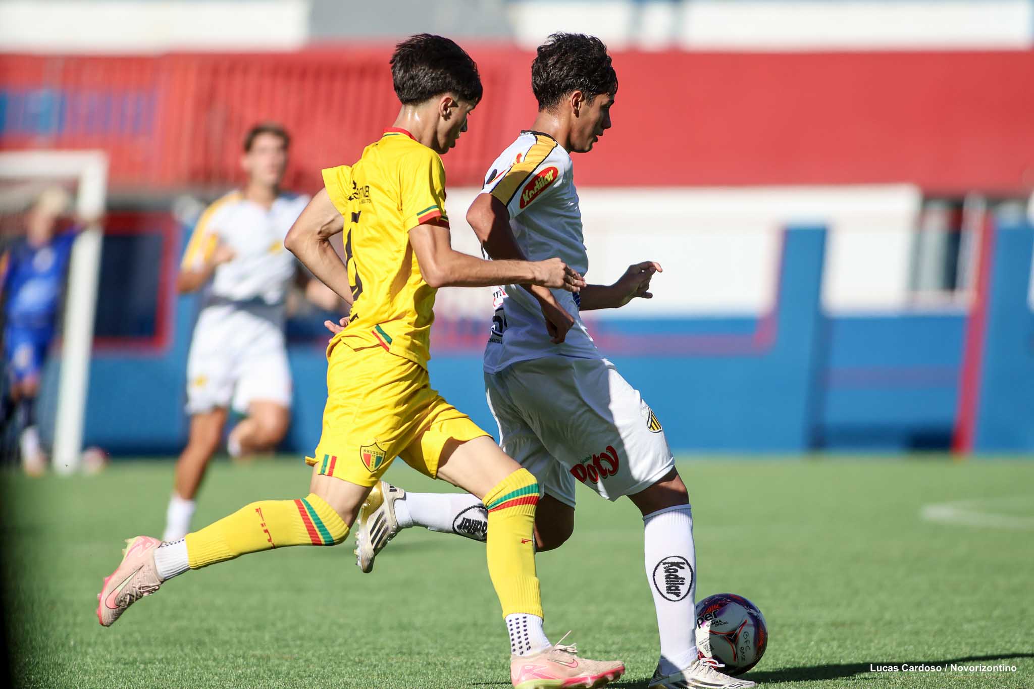 NOVxBRUSQUE-RDD2-BR26-SUB20-9