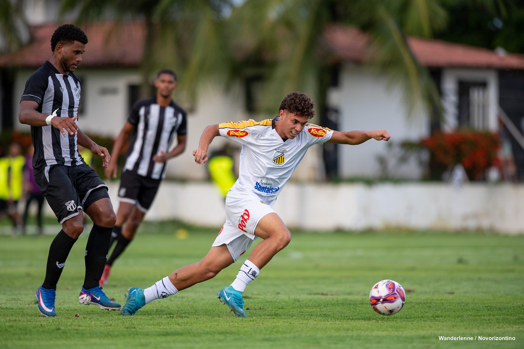 NOVxCEA-BR20-10
