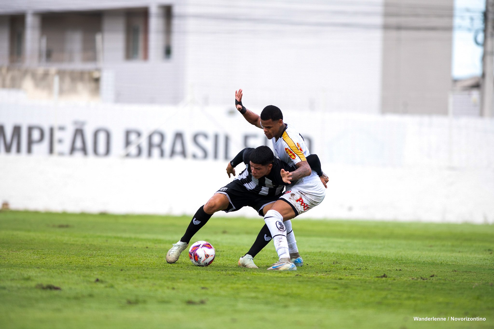 NOVxCEA-BR20-7