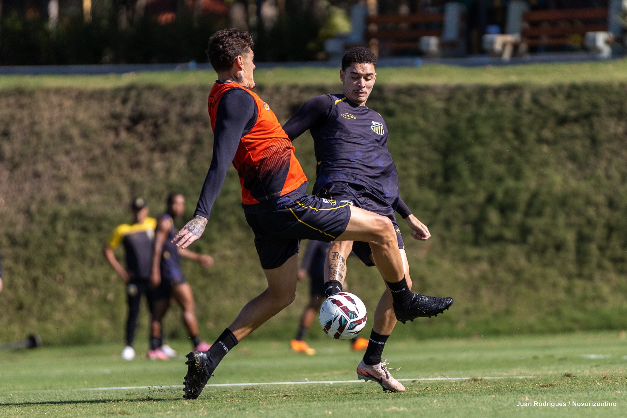 TREINO 08.07.26-3