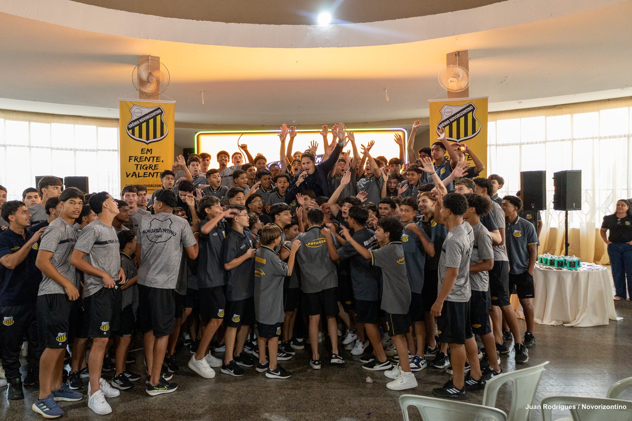 TIGRES EM AÇÃO 2026-28