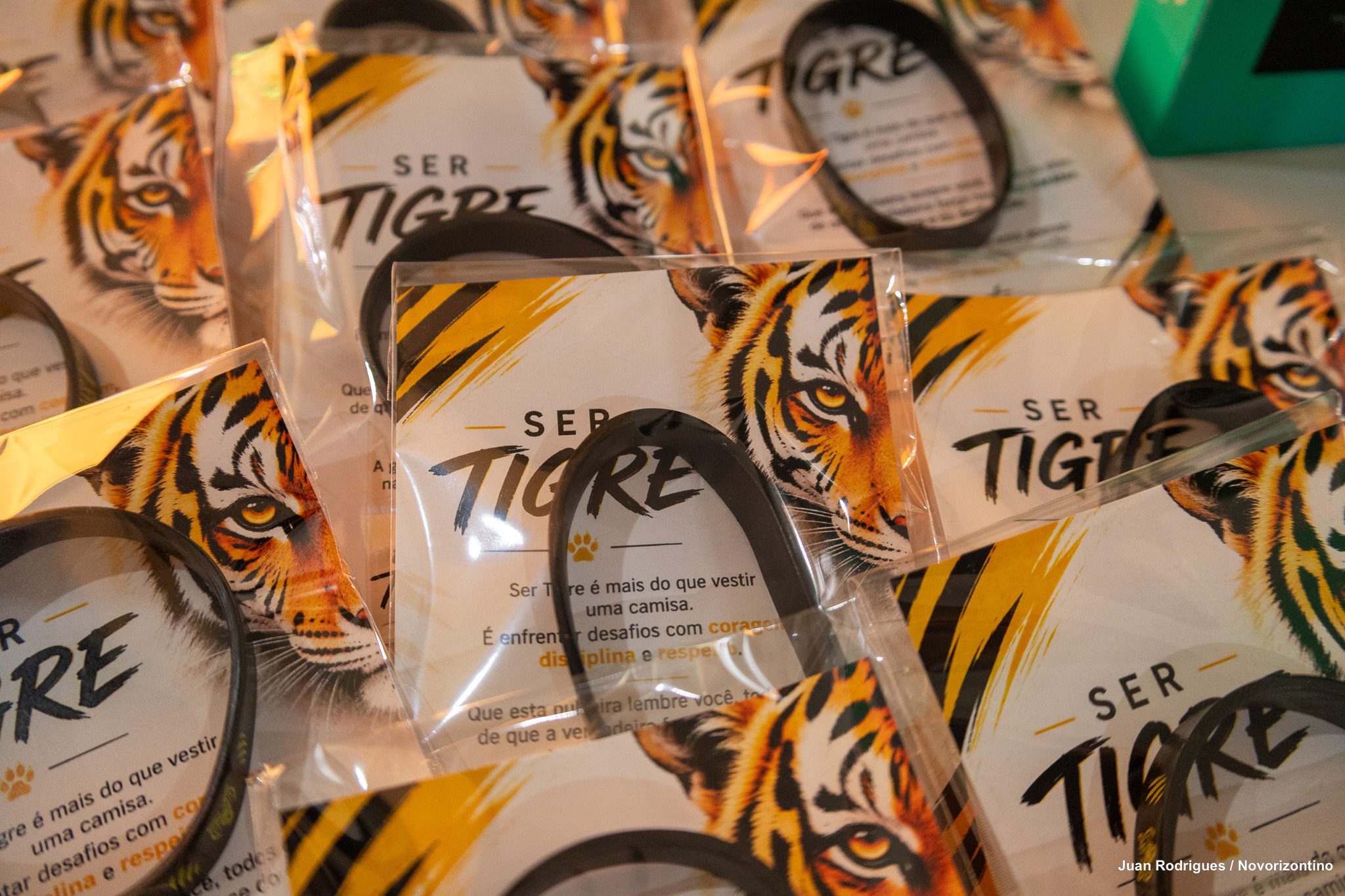 TIGRES EM AÇÃO 2026-31