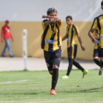 NOVxBRA-PTA_15-5 NOVxBRA-PTA_15-5