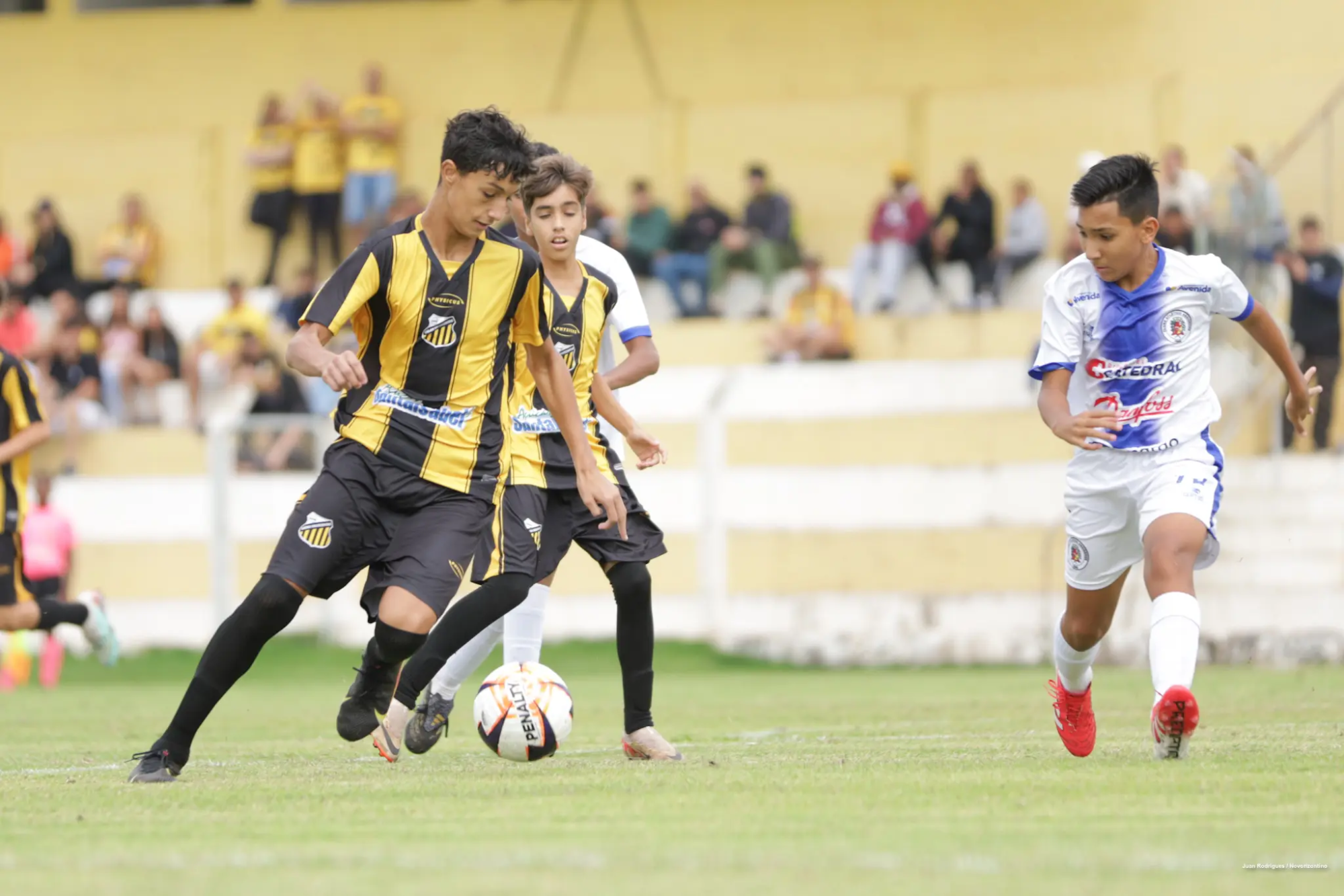 NOVxASS-PTA_13-5 NOVxASS-PTA_13-5