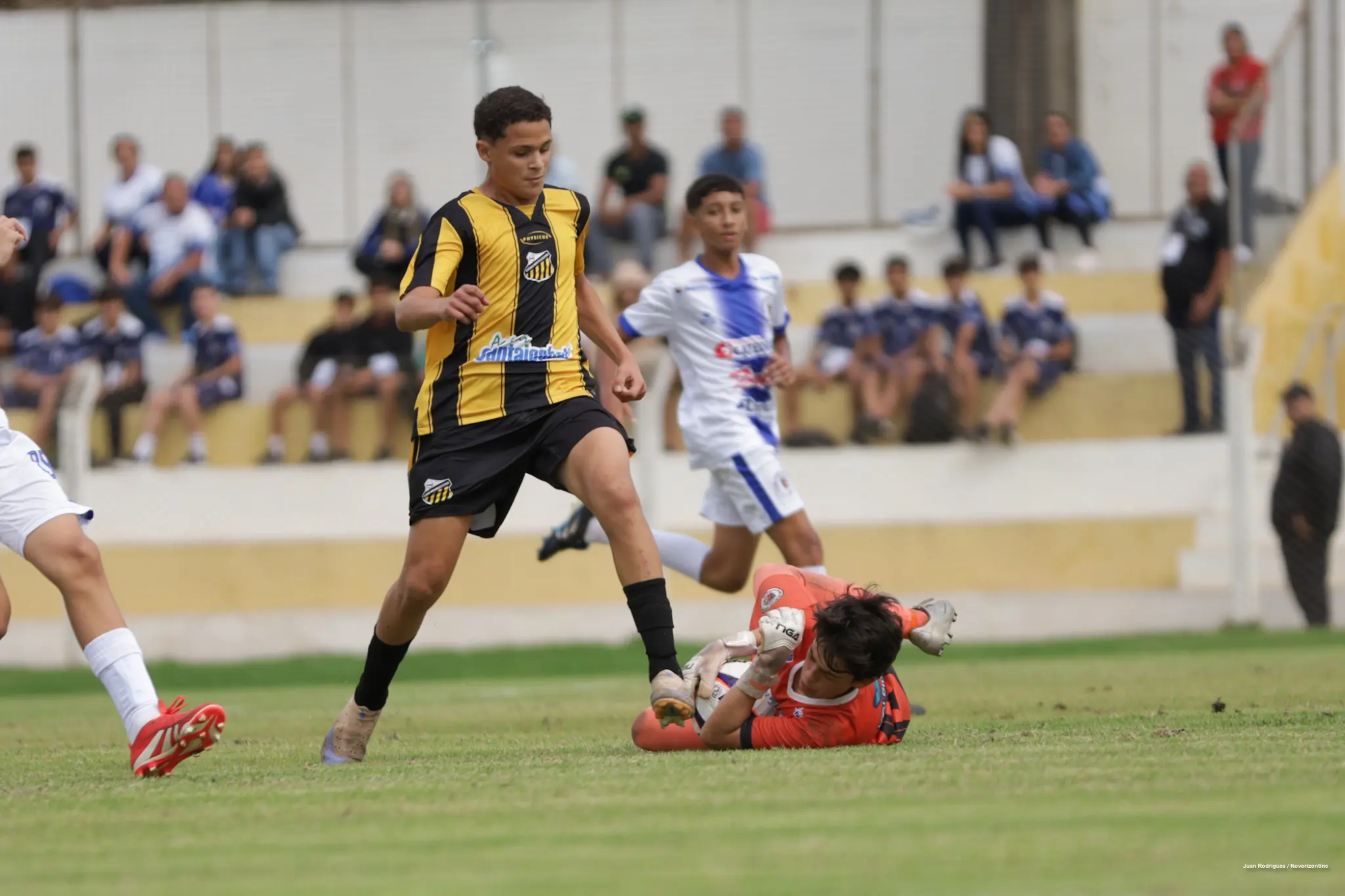 NOVxASS-PTA_13-6 NOVxASS-PTA_13-6