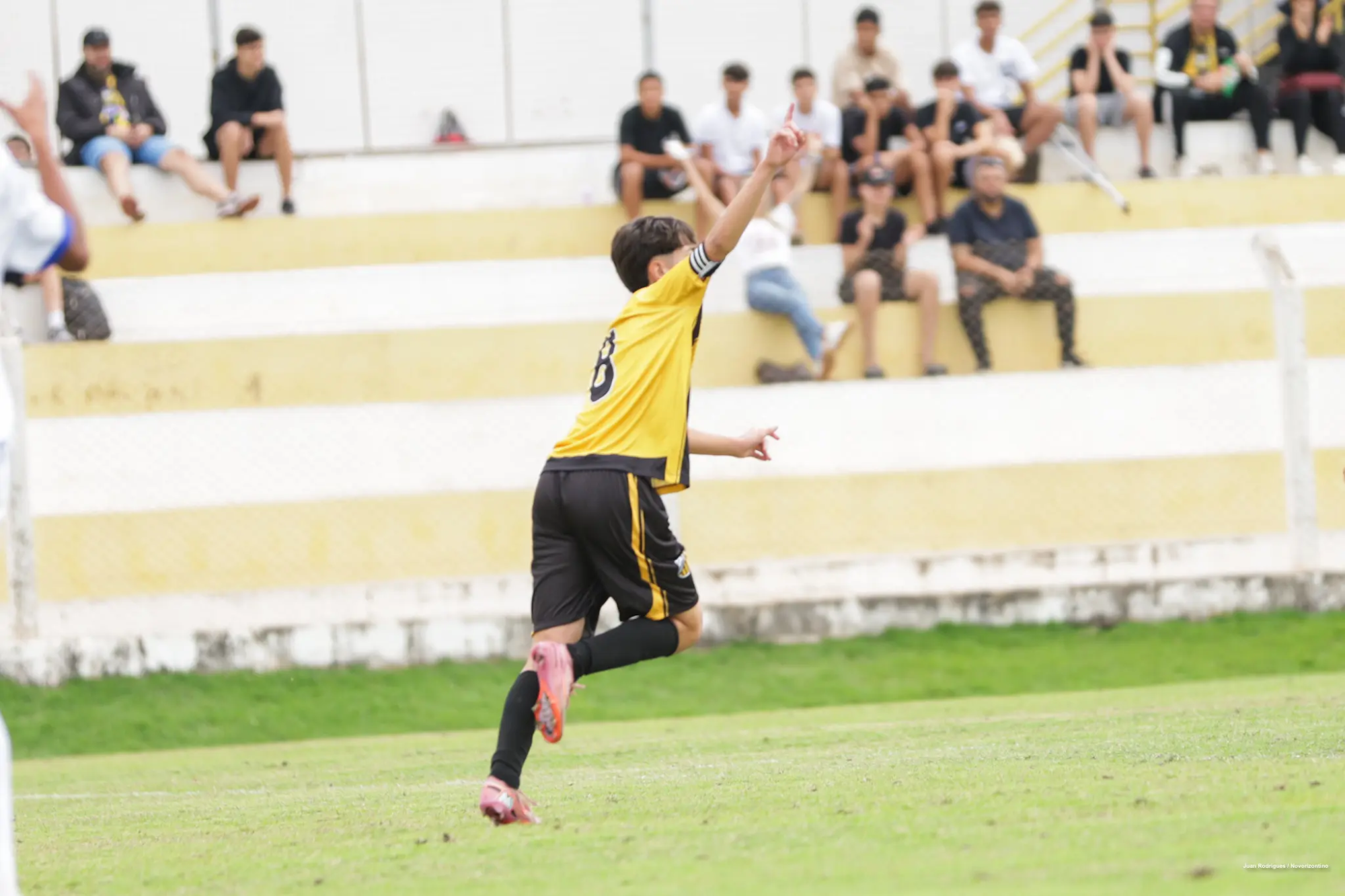NOVxASS-PTA_14-4 NOVxASS-PTA_14-4