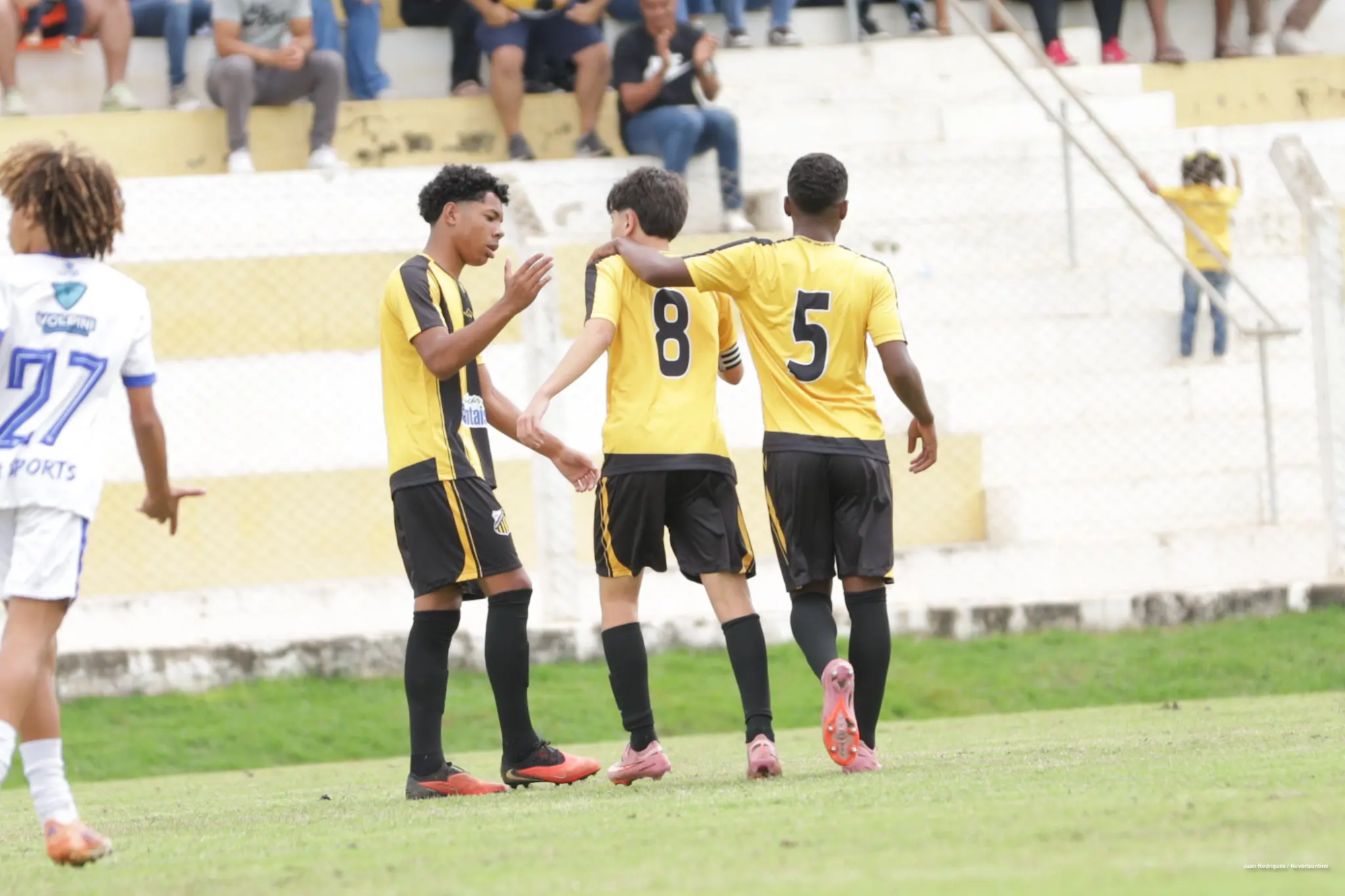 NOVxASS-PTA_14-8 NOVxASS-PTA_14-8