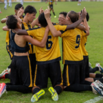 NOVxMIR-PTA_15-4 NOVxMIR-PTA_15-4