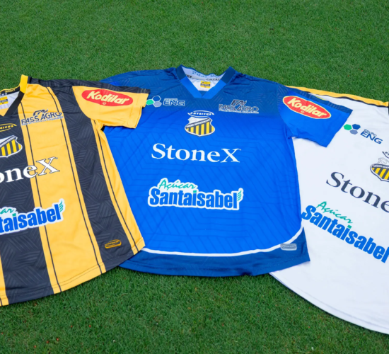 APRESENTAÇÃO-STONEX-1